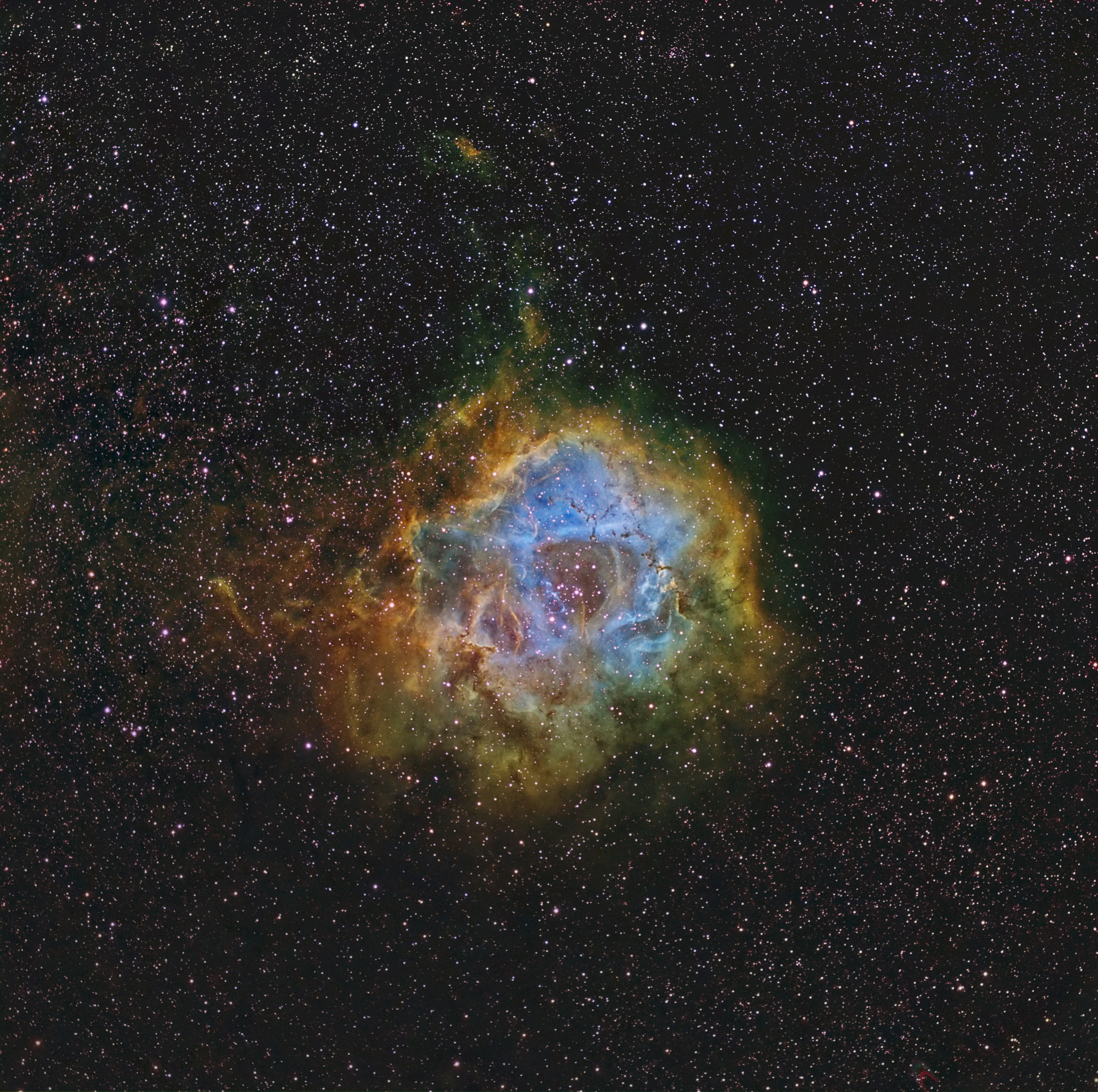 Rosette Nebula Narrowband