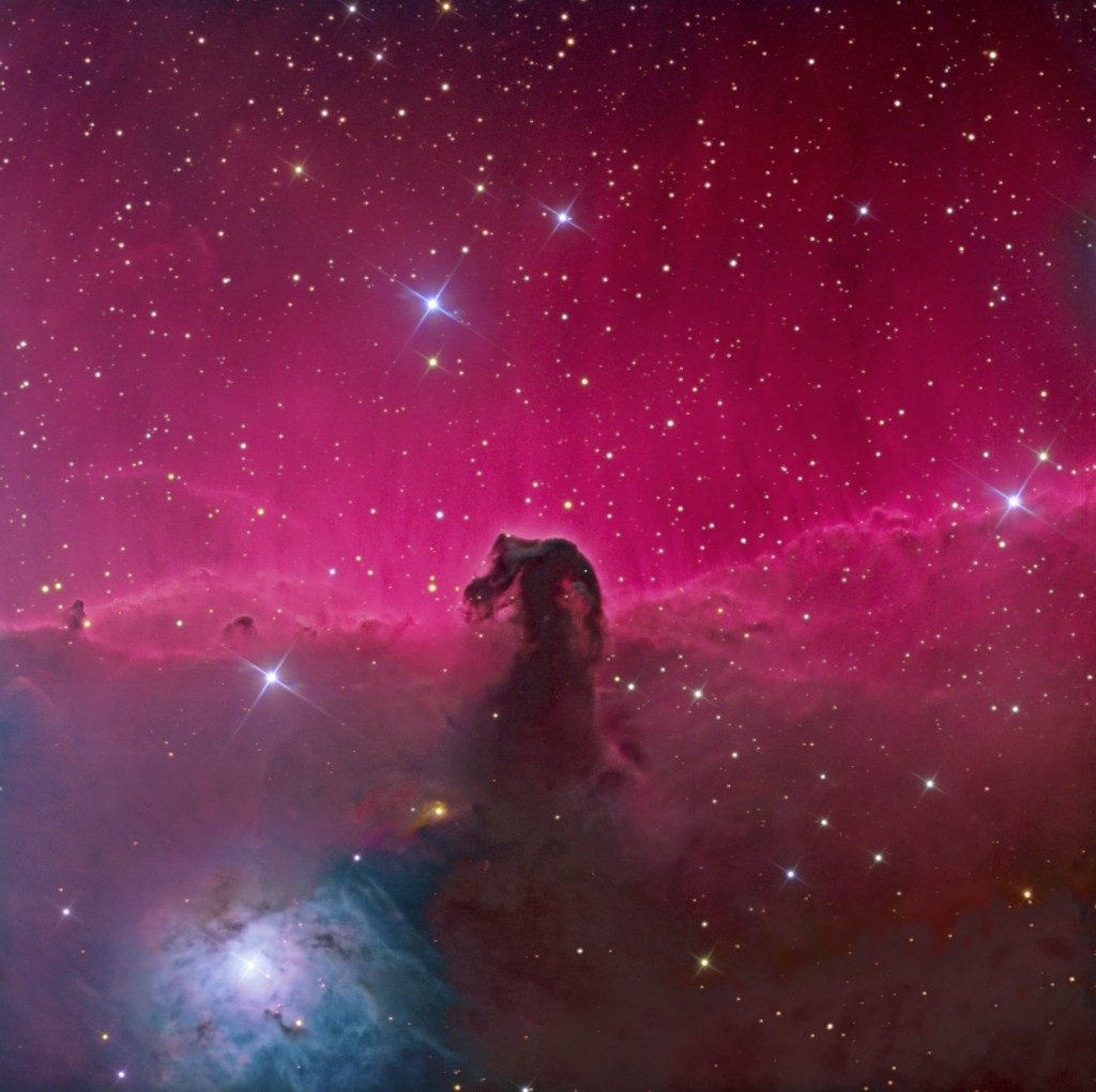 Horsehead Nebula and IC 2023