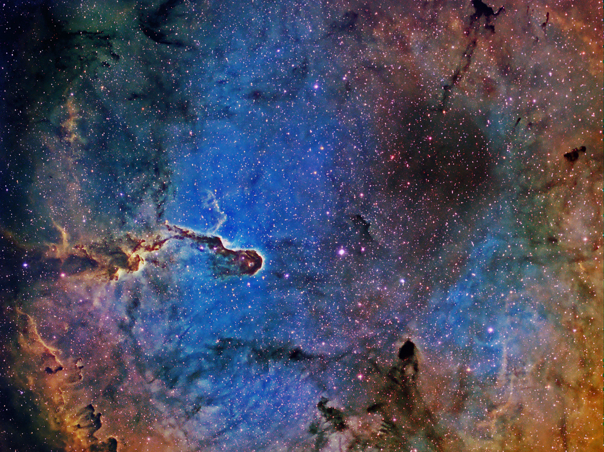 Elephant’s Trunk Nebula