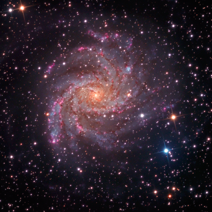 Ngc 6946 Fireworks Galaxy Astrodonimaging Com