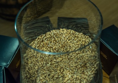It Starts With Barley