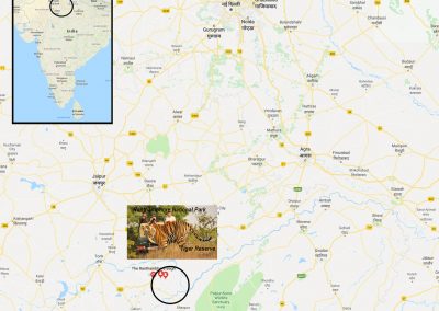 Ranthambore National Park and Tiger Reserve