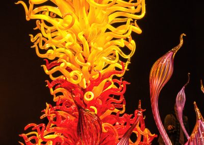 chihuly-26