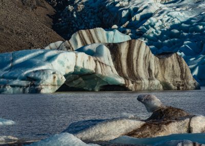 Svinafellsjokull Glacial Lagoon